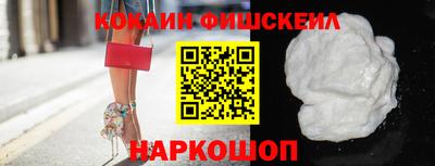 стафф Кингисепп