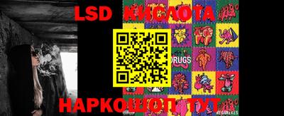 стафф Кингисепп