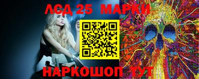 стафф Кингисепп