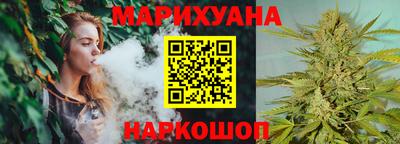 стафф Кингисепп
