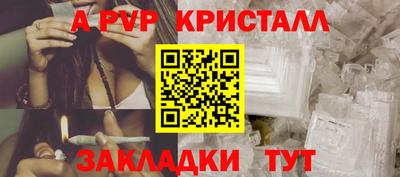 стафф Кингисепп