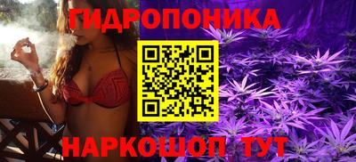 PSILOCYBIN Кинель