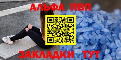 стафф Кингисепп