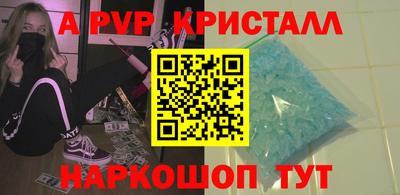 стафф Кингисепп