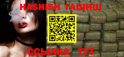 стафф Кингисепп