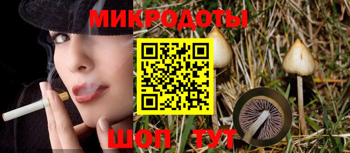 Псилоцибиновые грибы прущие грибы  Псилоцибиновые грибы Cubensis  Вход с VPN  Новотроицк 