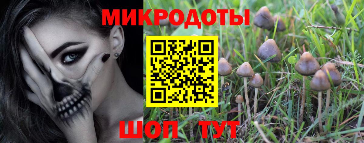 Галлюциногенные грибы GOLDEN TEACHER Новотроицк